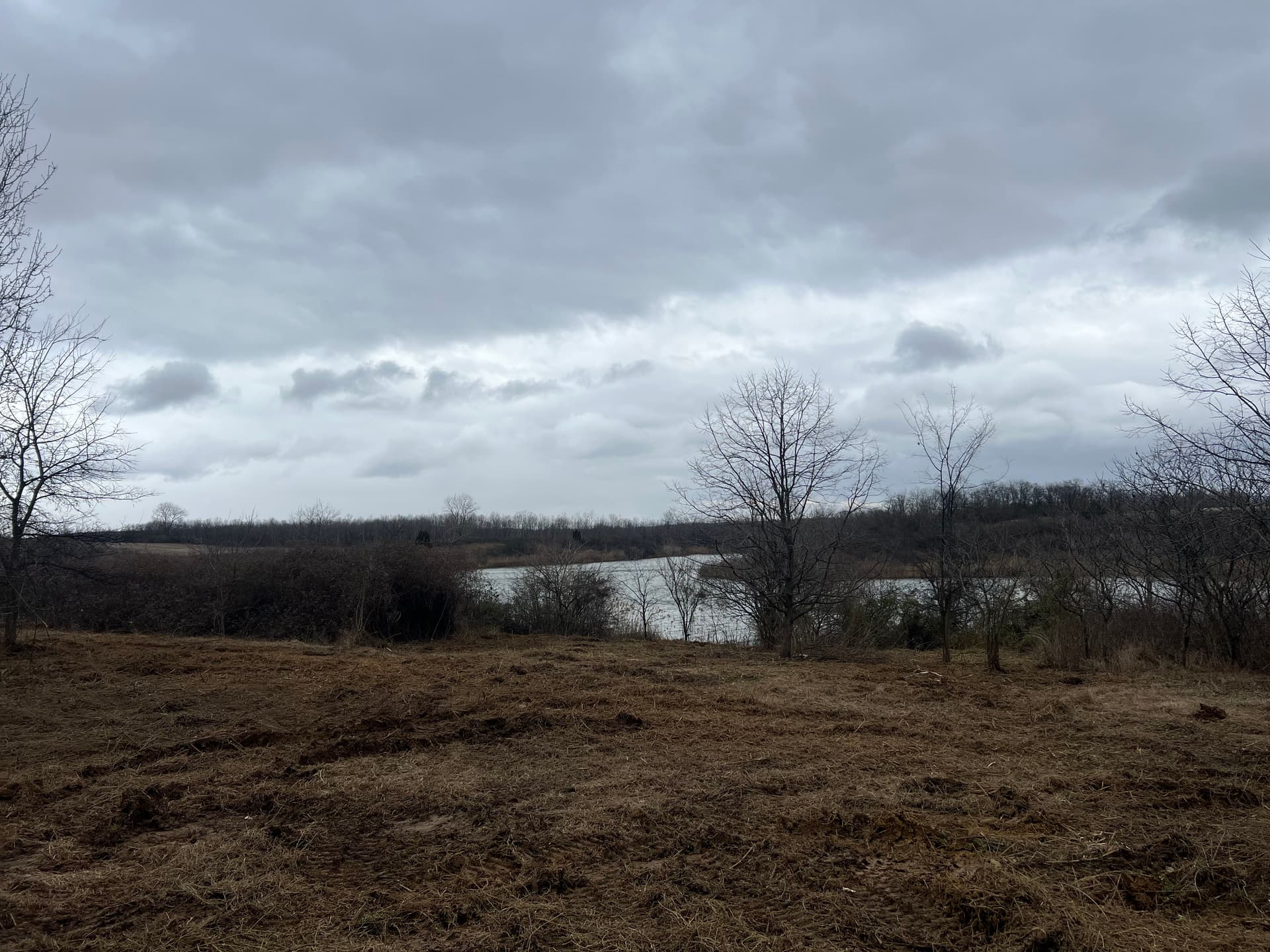 Gallery photos for Field Clearing for New Home Build: Image #3