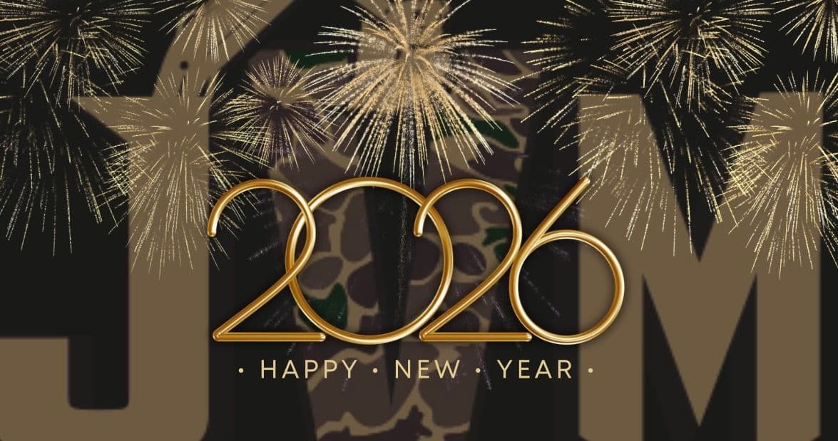 Project Celebrating 2026 with Gratitude and Excitement image