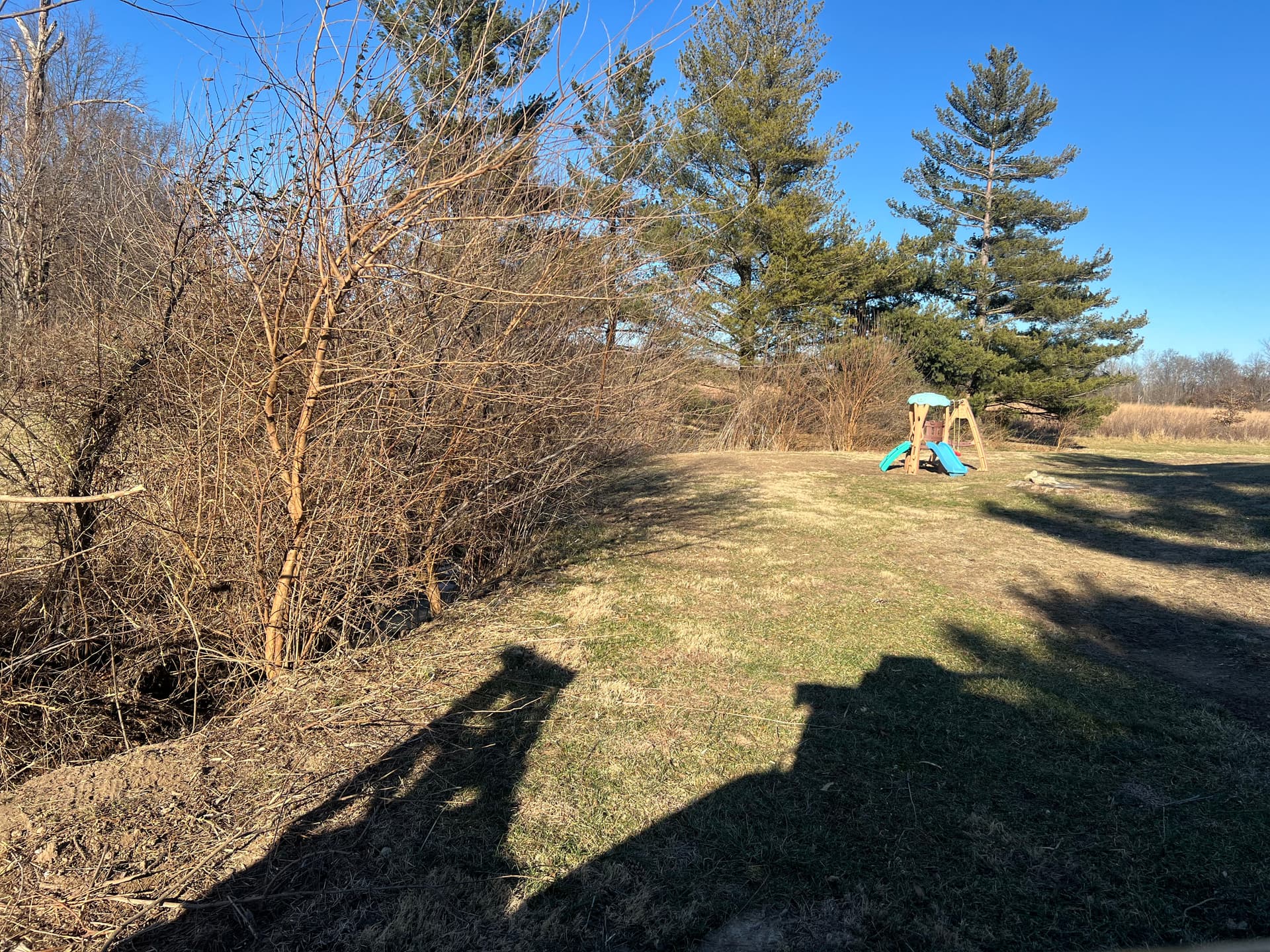 Drainage Ditch Clearing with FAE Mulcher