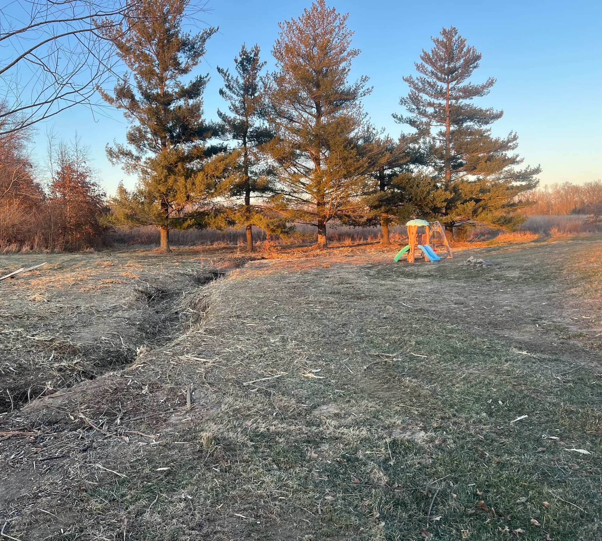 Drainage Ditch Clearing with FAE Mulcher