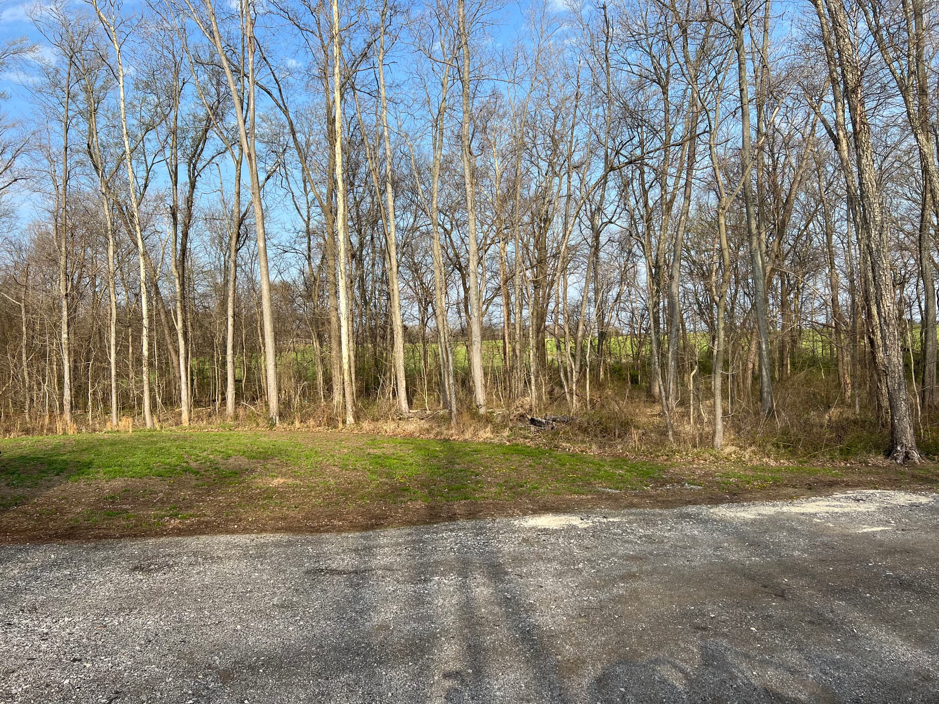 Overgrown Woods Cleared for Trails and Shooting Lanes in Southern Illinois image