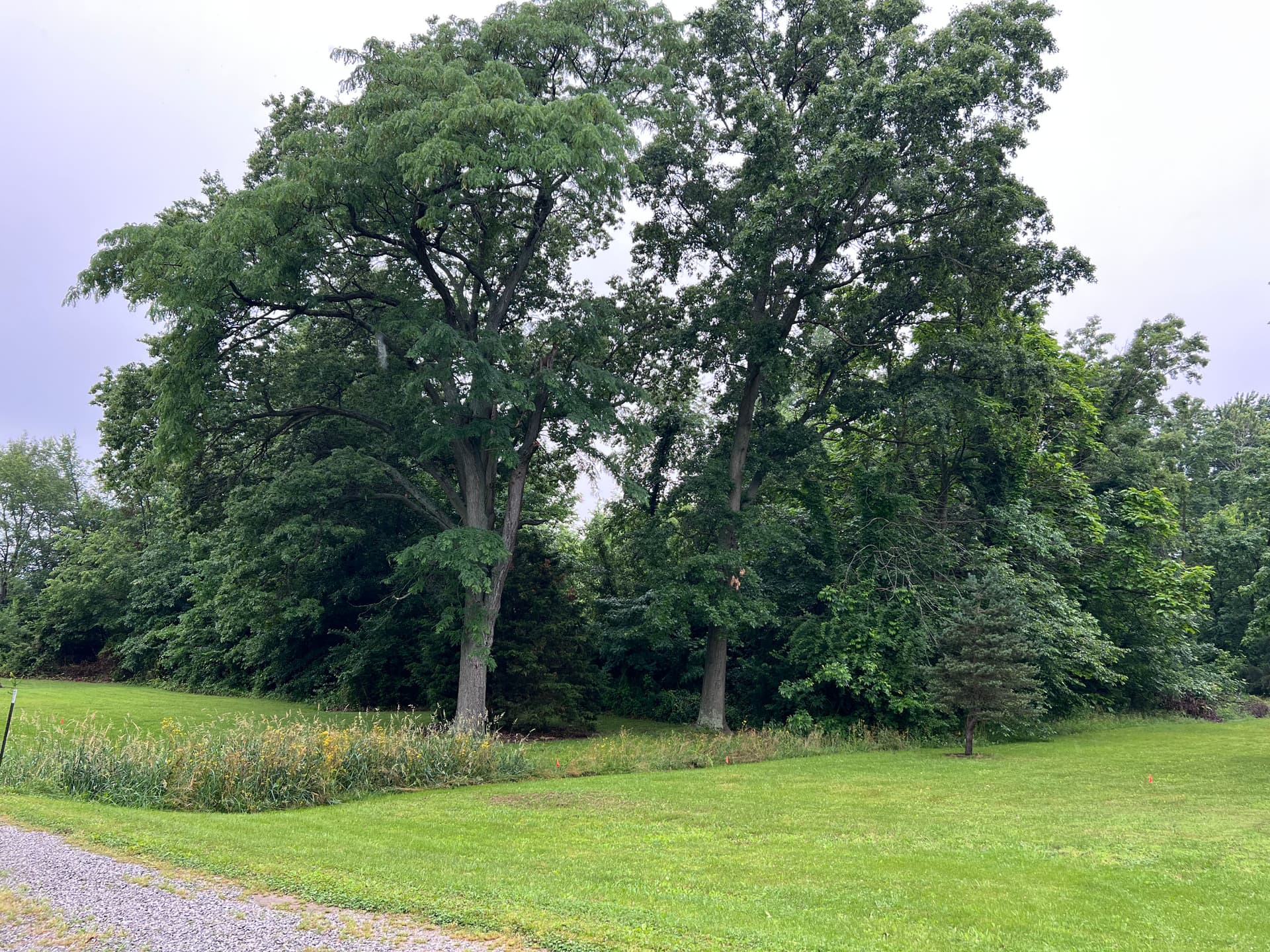 Giving a Flora IL Family Their Land Back