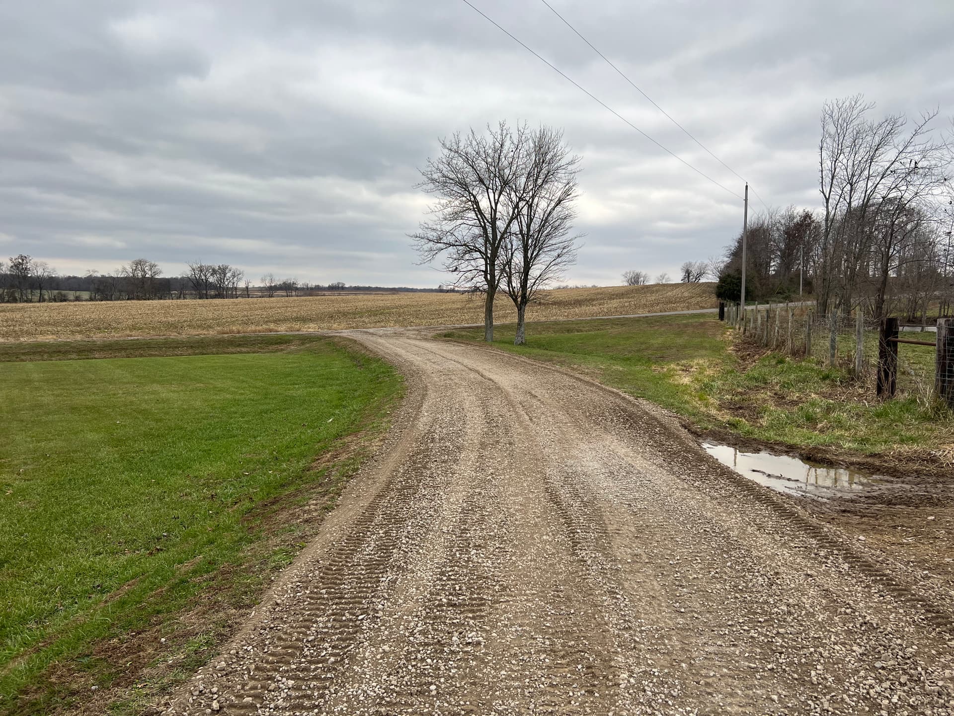 Gallery photos for Hillside Restored and Driveway Renovated in Barnhill: Image #3