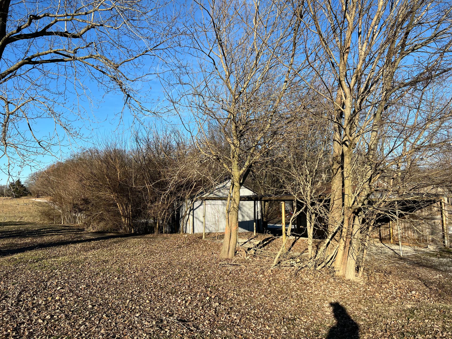 Land Clearing Success in White County image