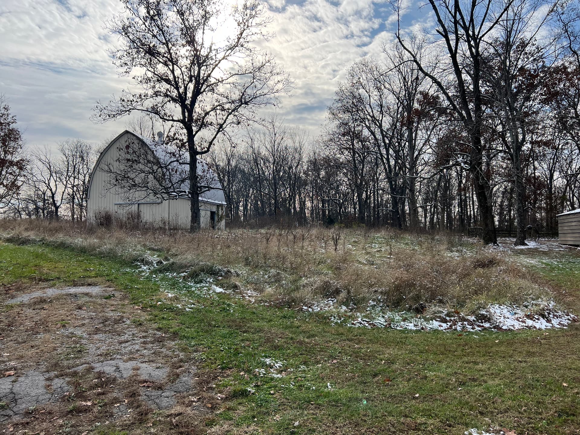 Barnhill IL Property Cleanup