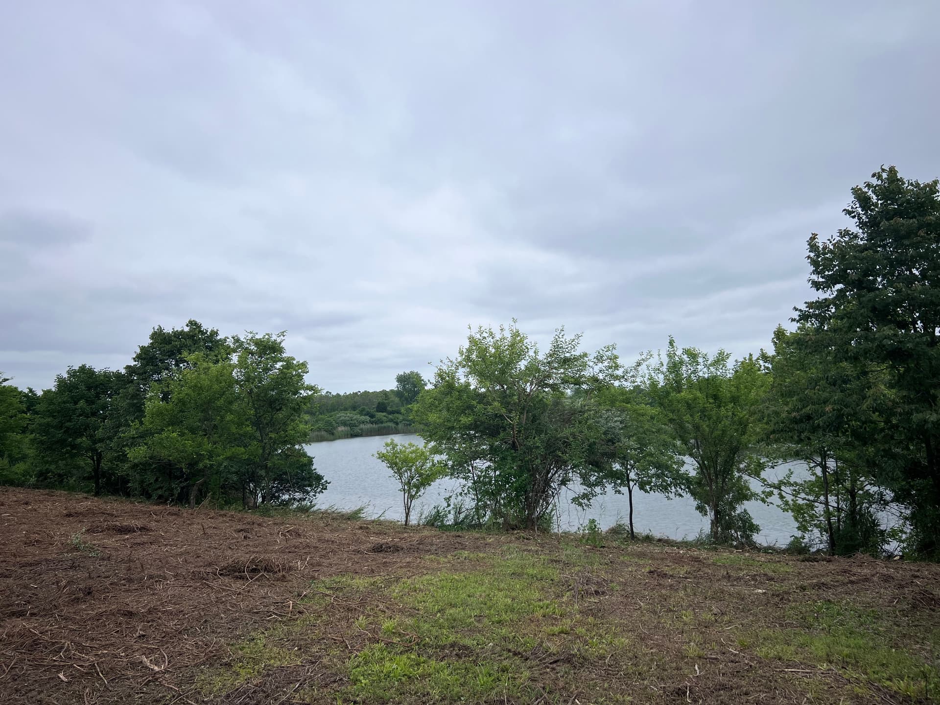 Gallery photos for Clearing a Southern Illinois Lakefront Property for a Future Home Build: Image #5