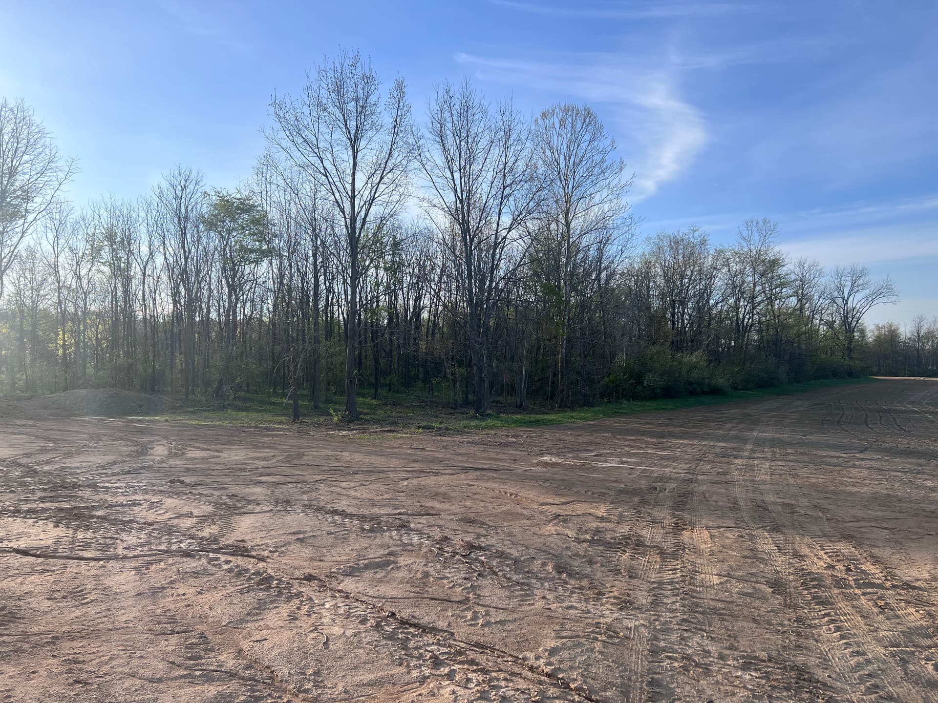 New Build Lot Clearing and Forestry Mulching in Southern Illinois image