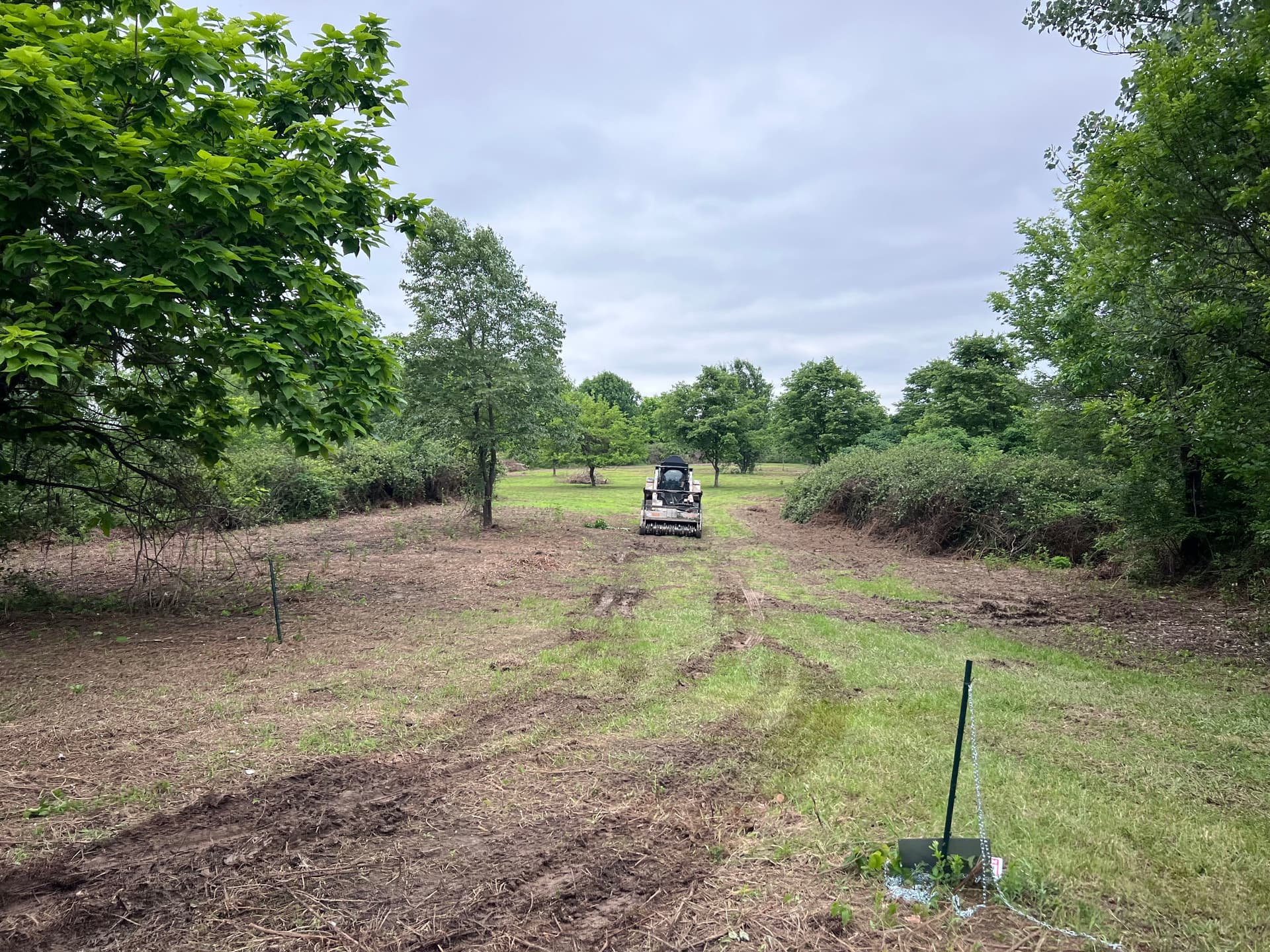 Gallery photos for Clearing a Southern Illinois Lakefront Property for a Future Home Build: Image #1
