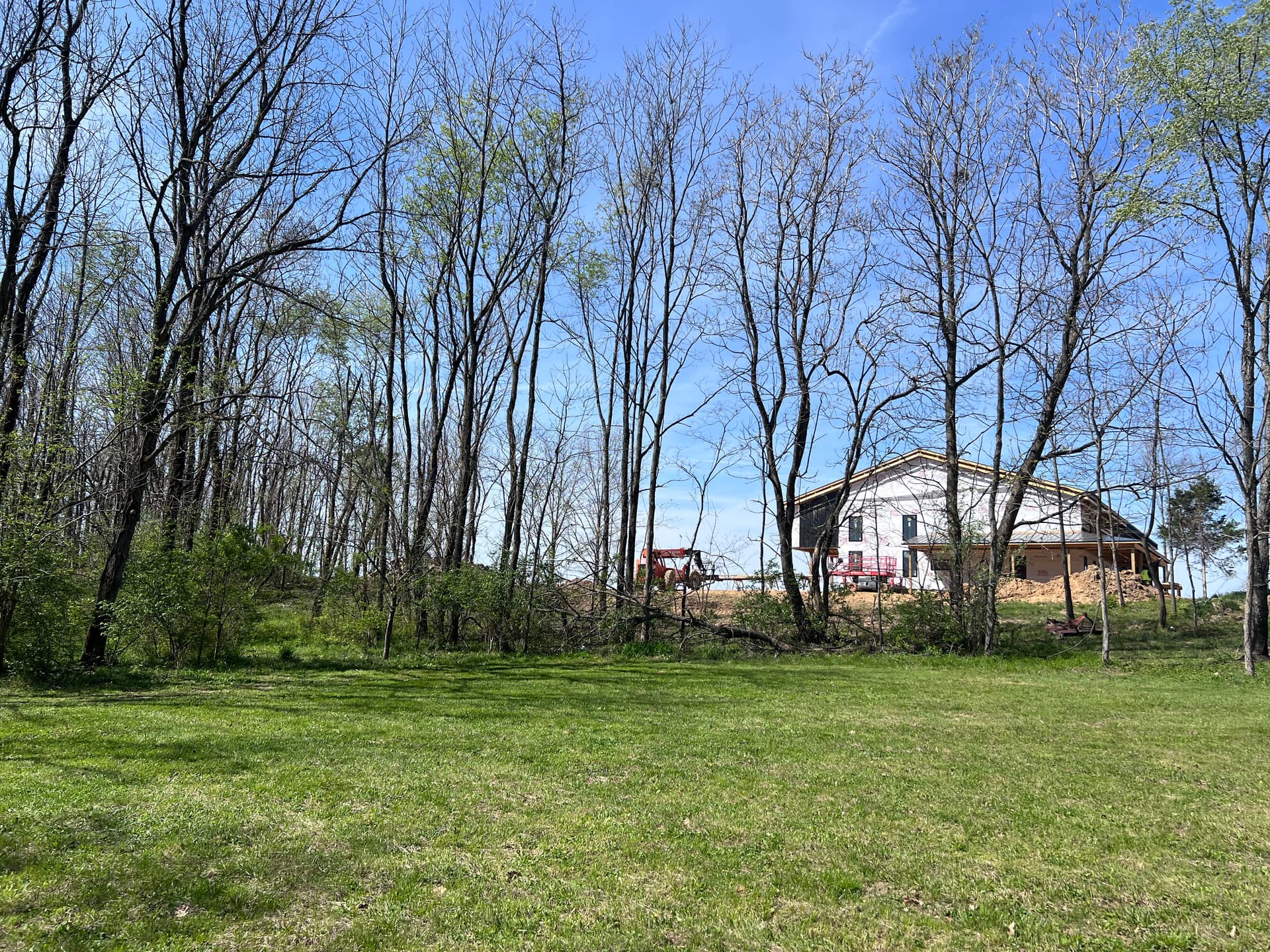 Gallery photos for New Build Lot Clearing and Forestry Mulching in Southern Illinois: Image #4