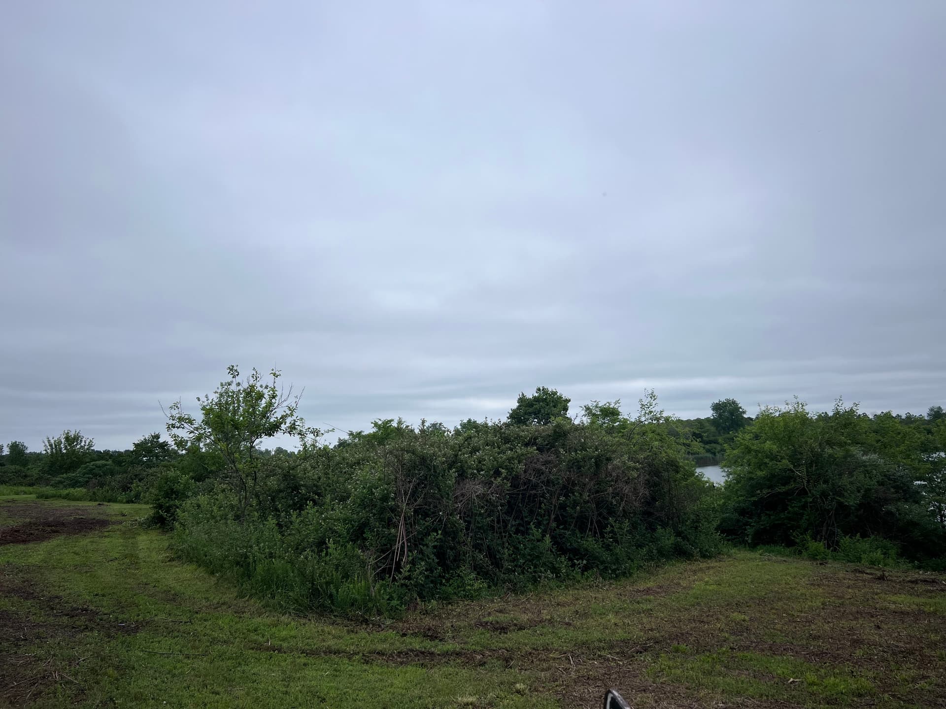 Gallery photos for Clearing a Southern Illinois Lakefront Property for a Future Home Build: Image #4