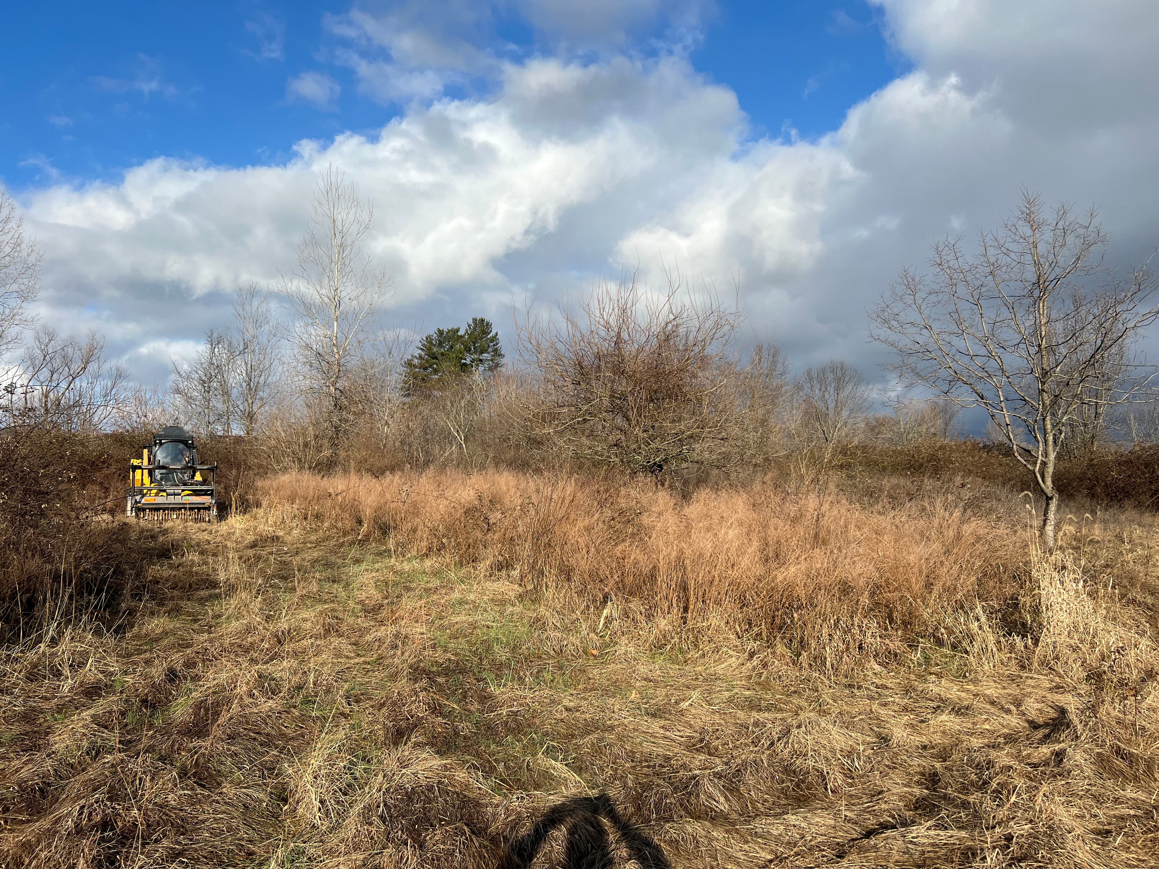 Project Field Clearing for New Home Build image