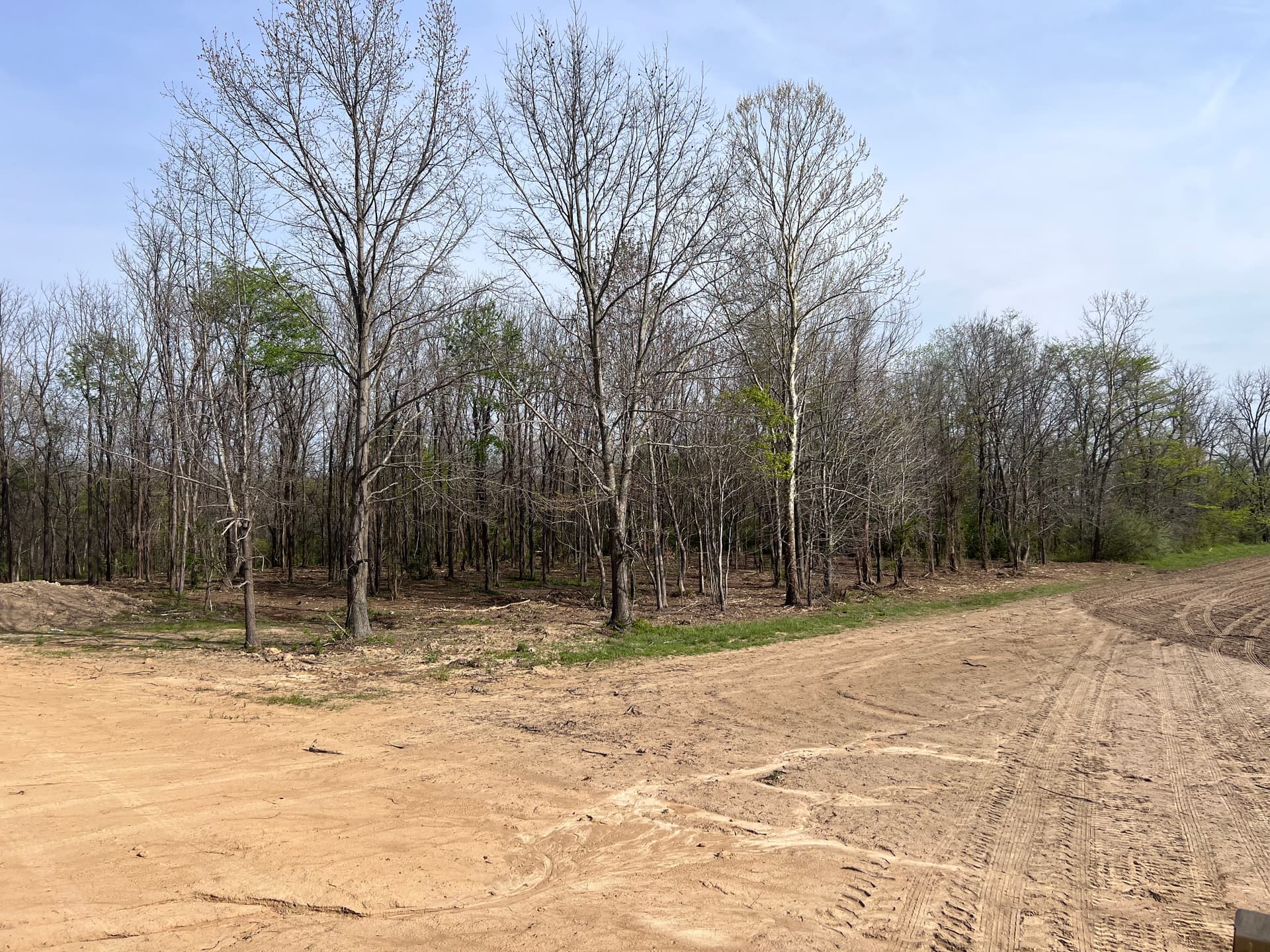 Gallery photos for New Build Lot Clearing and Forestry Mulching in Southern Illinois: Image #1