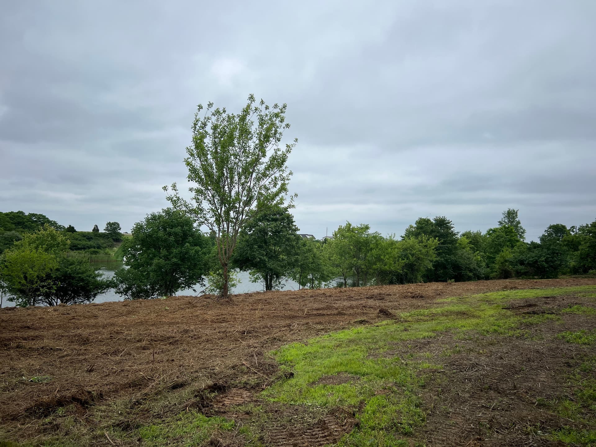 Gallery photos for Clearing a Southern Illinois Lakefront Property for a Future Home Build: Image #3