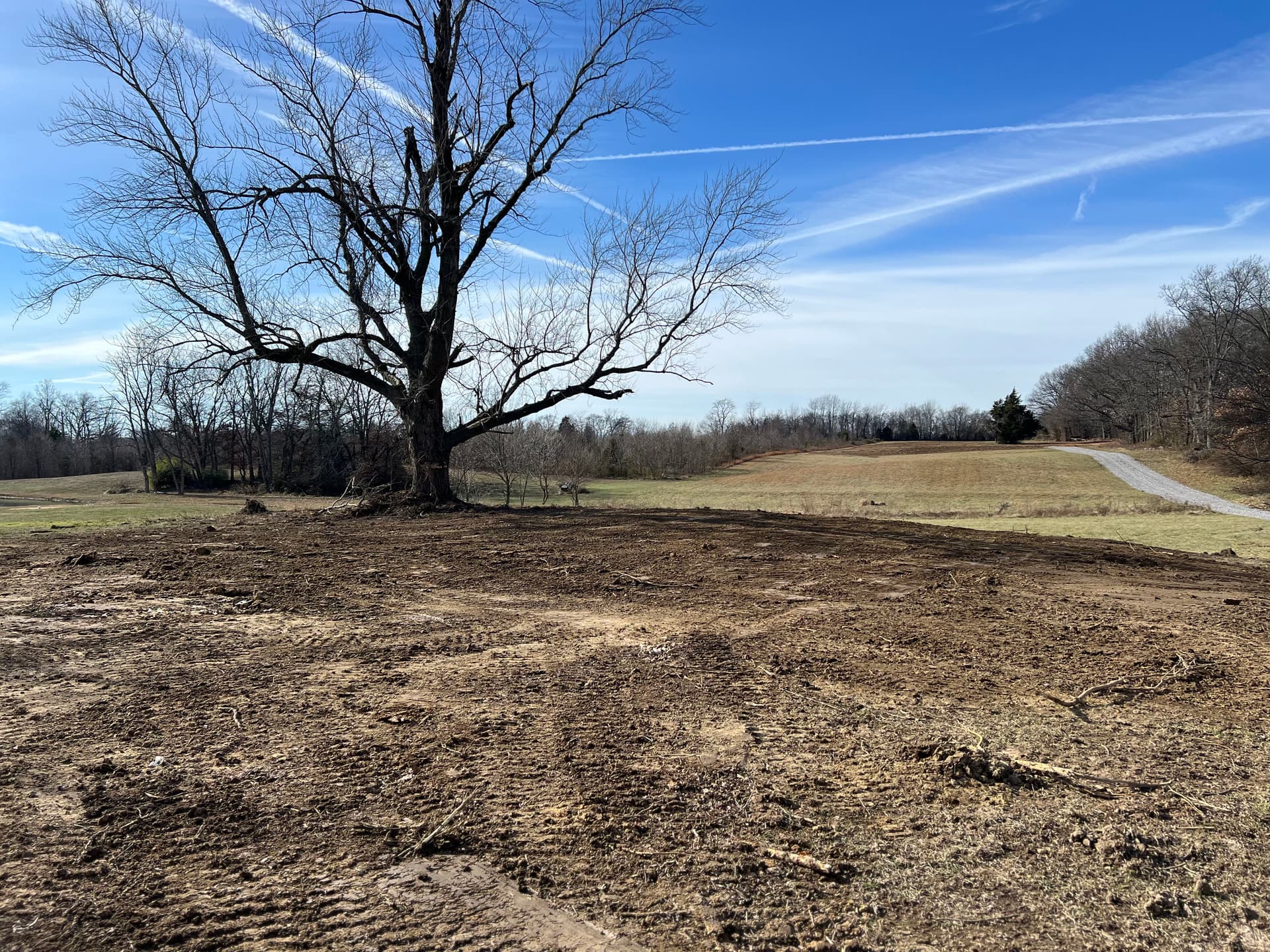 Gallery photos for Land Clearing Success in White County: Image #5