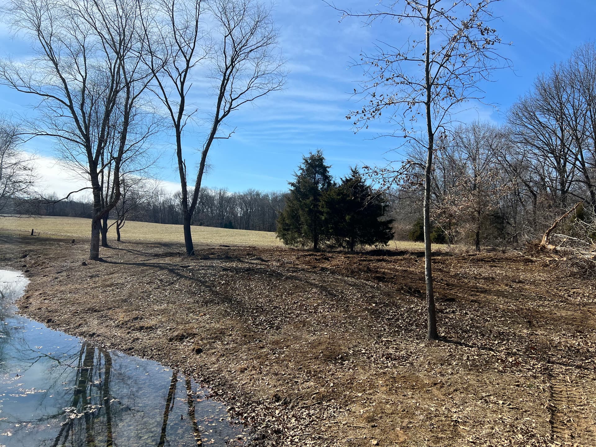 Gallery photos for Tree Removal with Land Leveling Made Simple: Image #1