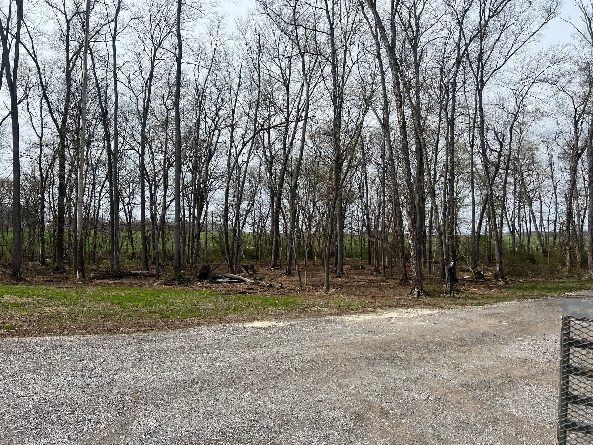 Gallery photos for Overgrown Woods Cleared for Trails and Shooting Lanes in Southern Illinois: Image #1