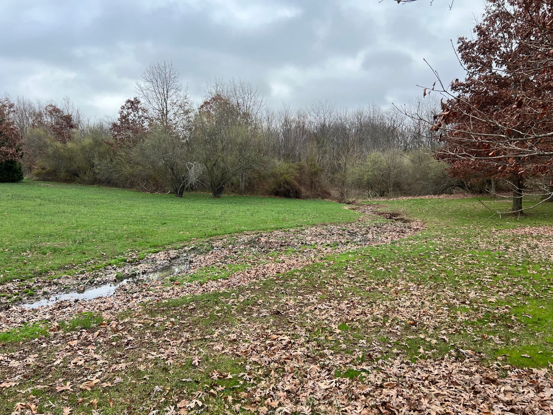 Drainage Optimization in Wayne County IL