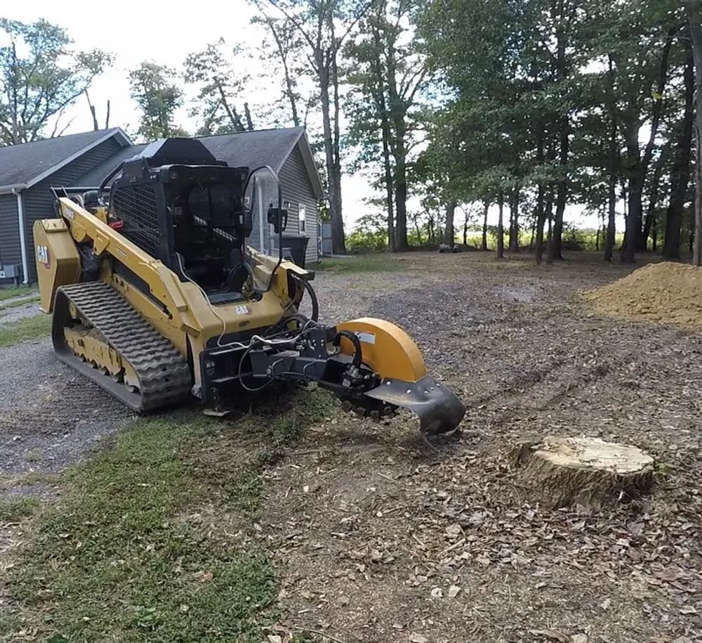 Stump Grinding & Removal image