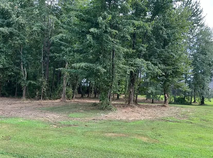 Cleared forest area with trees and trimmed grass in a natural landscape setting.