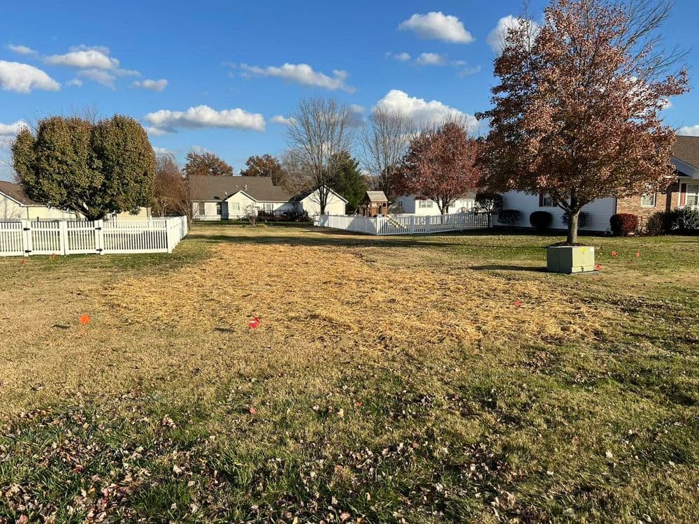 Lawn Renovation & Grading image