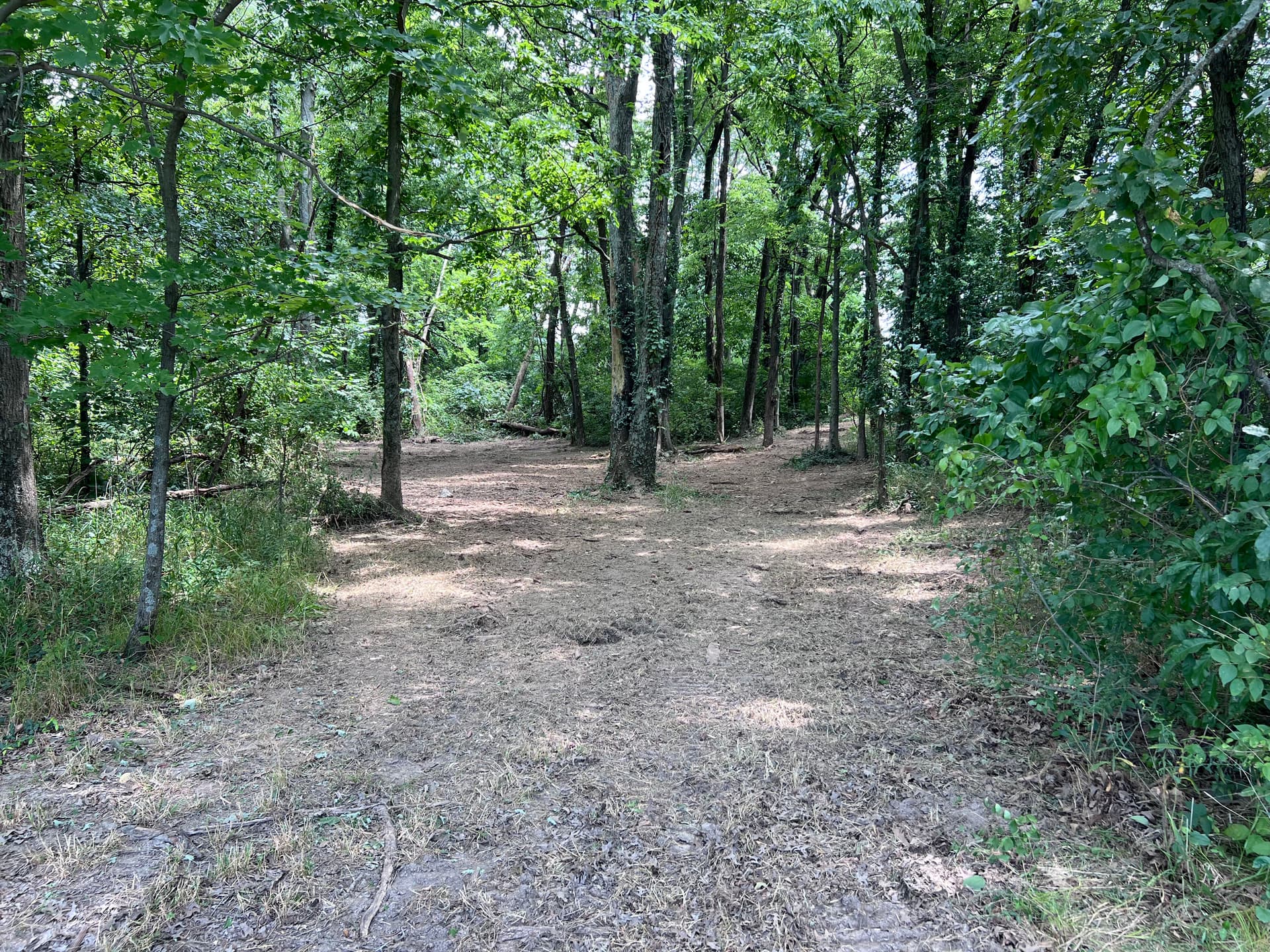 Gallery photos for Overgrown Woodland Trails Cleared Wide Open for Family Use: Image #5