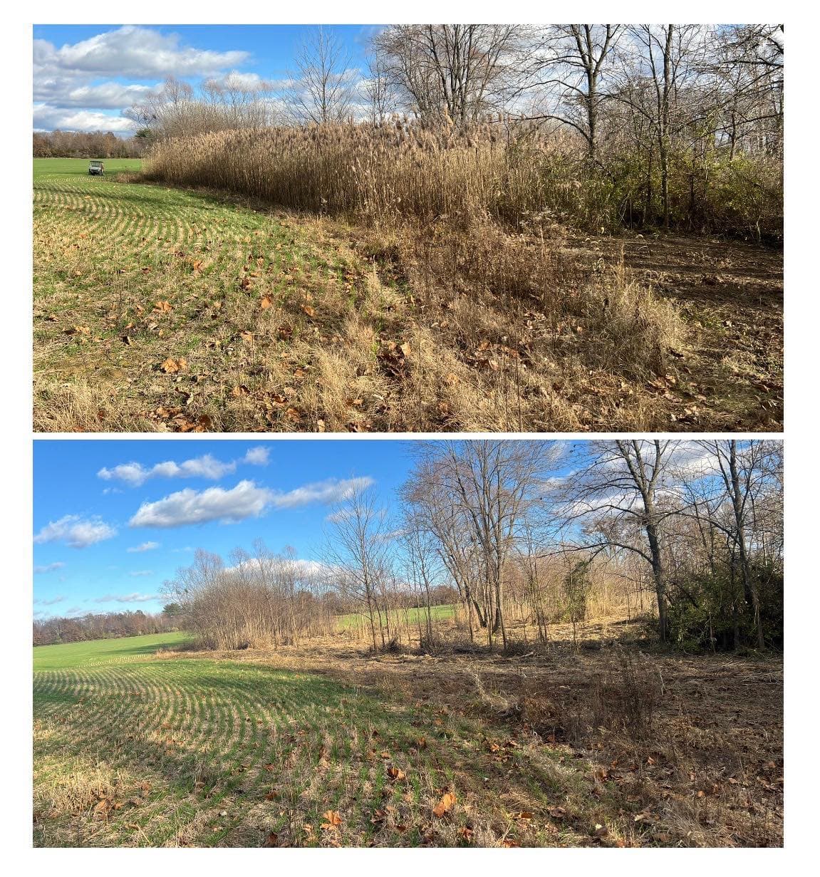 Before and after images showcasing land restoration, featuring clearings and new growth.