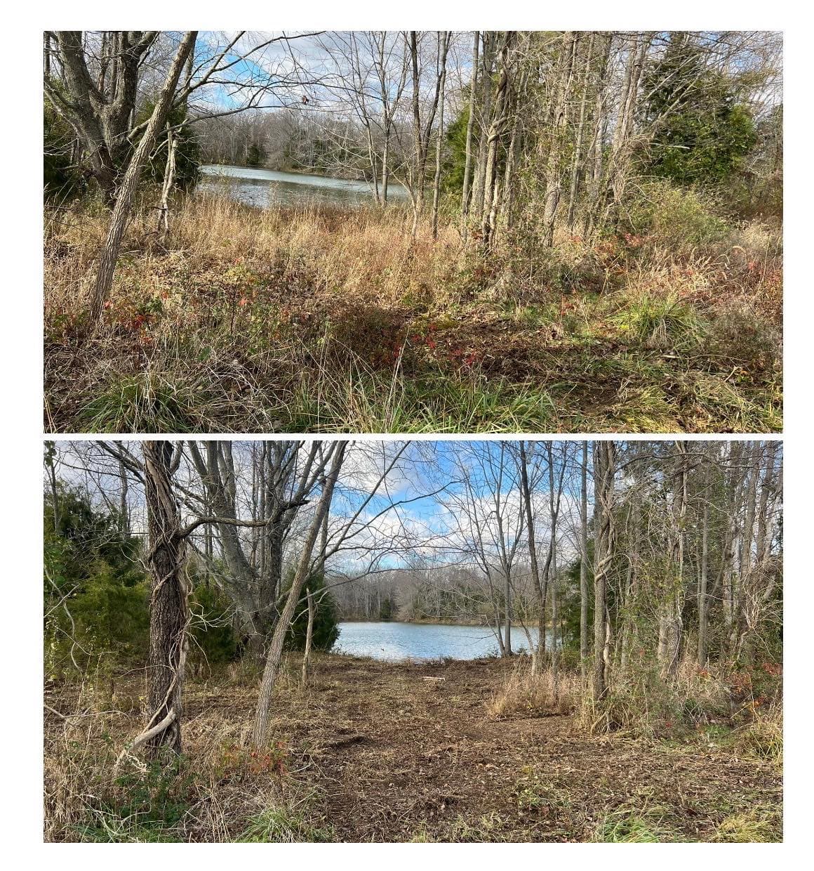 Before and after images of a wooded area near a serene lake, highlighting landscaping changes.