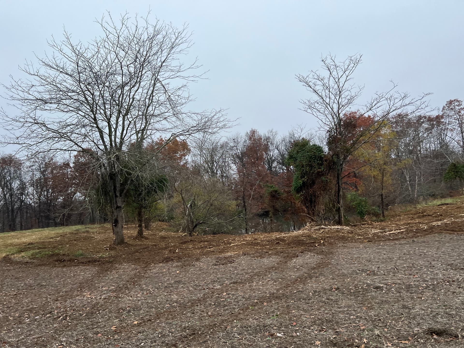 Gallery photos for Fence Row Clearing and Pond Brush Removal in Norris City: Image #1
