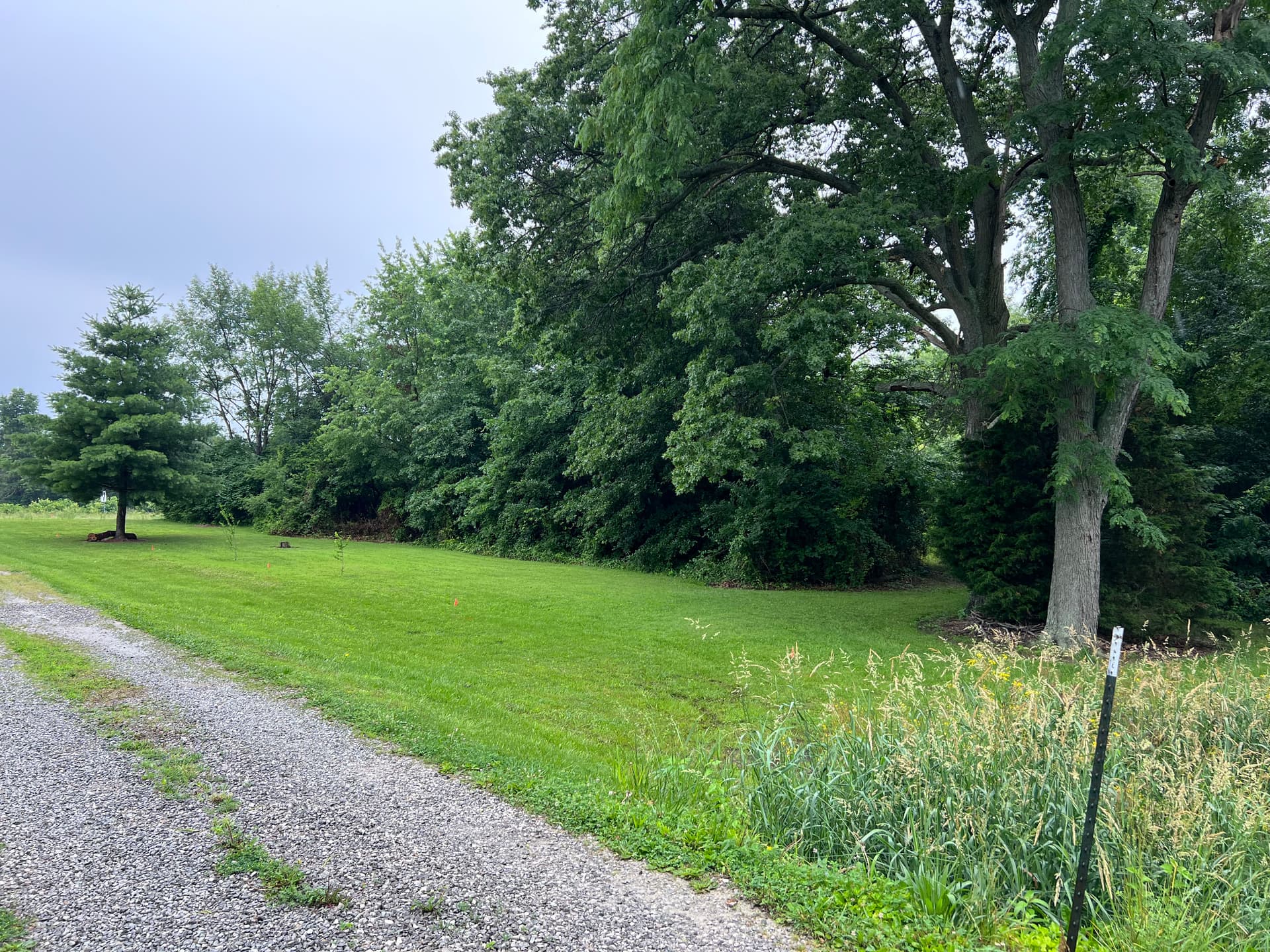 Gallery photos for Giving a Flora IL Family Their Land Back: Image #4