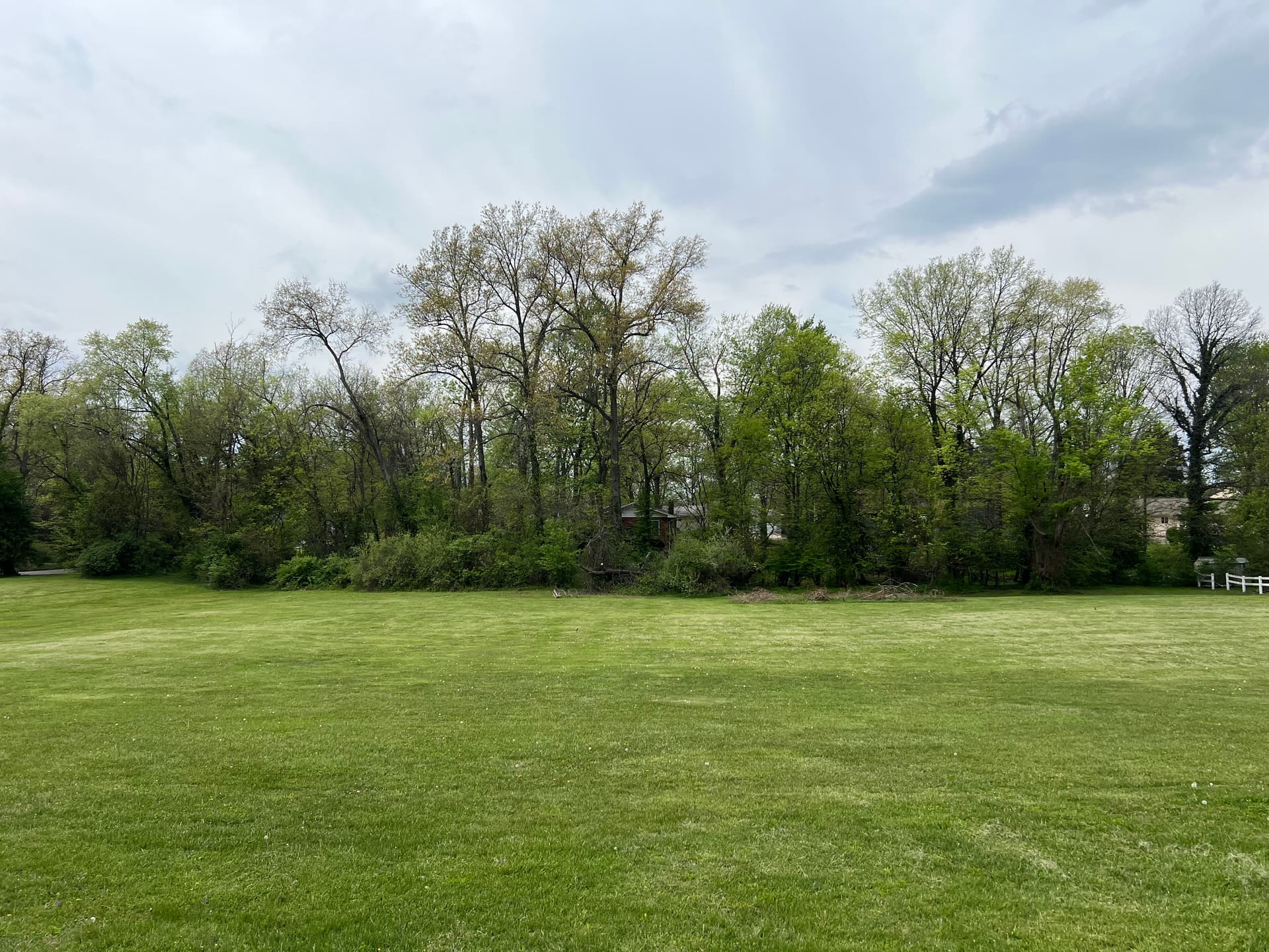 Creek Line Brush Removal That Was Taking Over a Southern Illinois Yard image