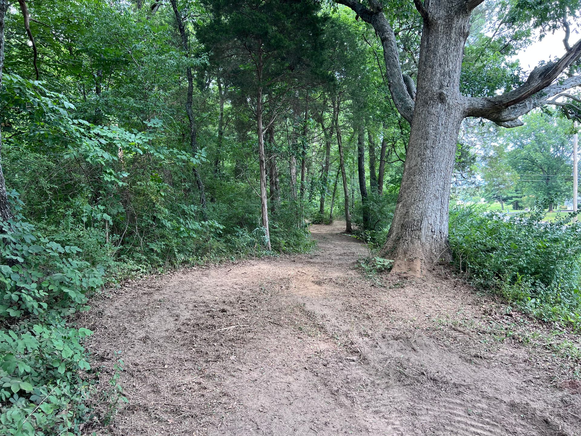 Gallery photos for Overgrown Woodland Trails Cleared Wide Open for Family Use: Image #1