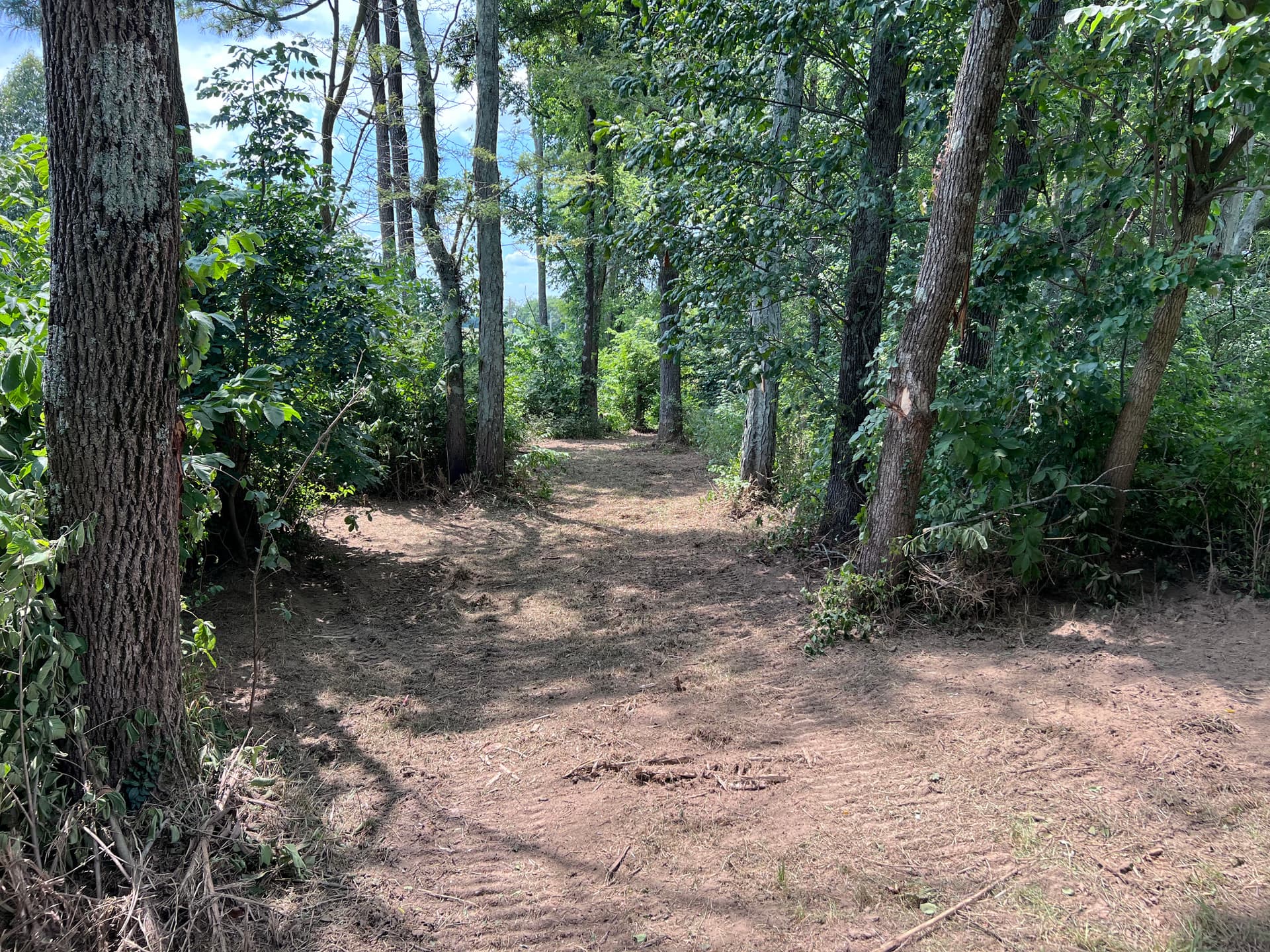 Gallery photos for Overgrown Woodland Trails Cleared Wide Open for Family Use: Image #3