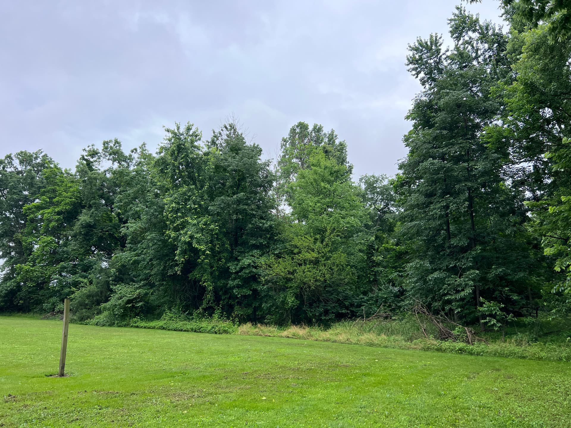 Gallery photos for Giving a Flora IL Family Their Land Back: Image #2