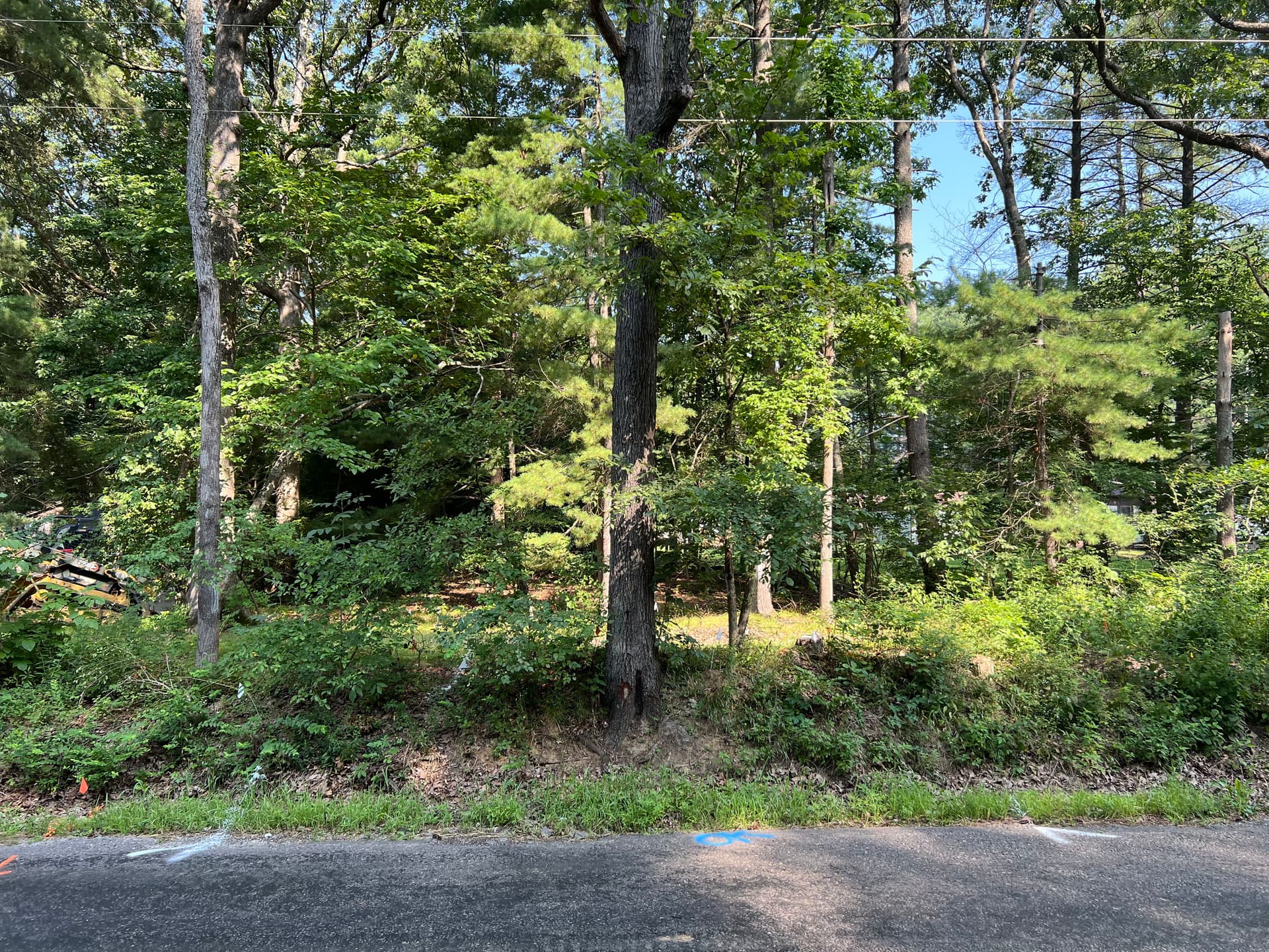 Land Clearing and Driveway Build for a Pole Barn Site in Wayne County, IL image