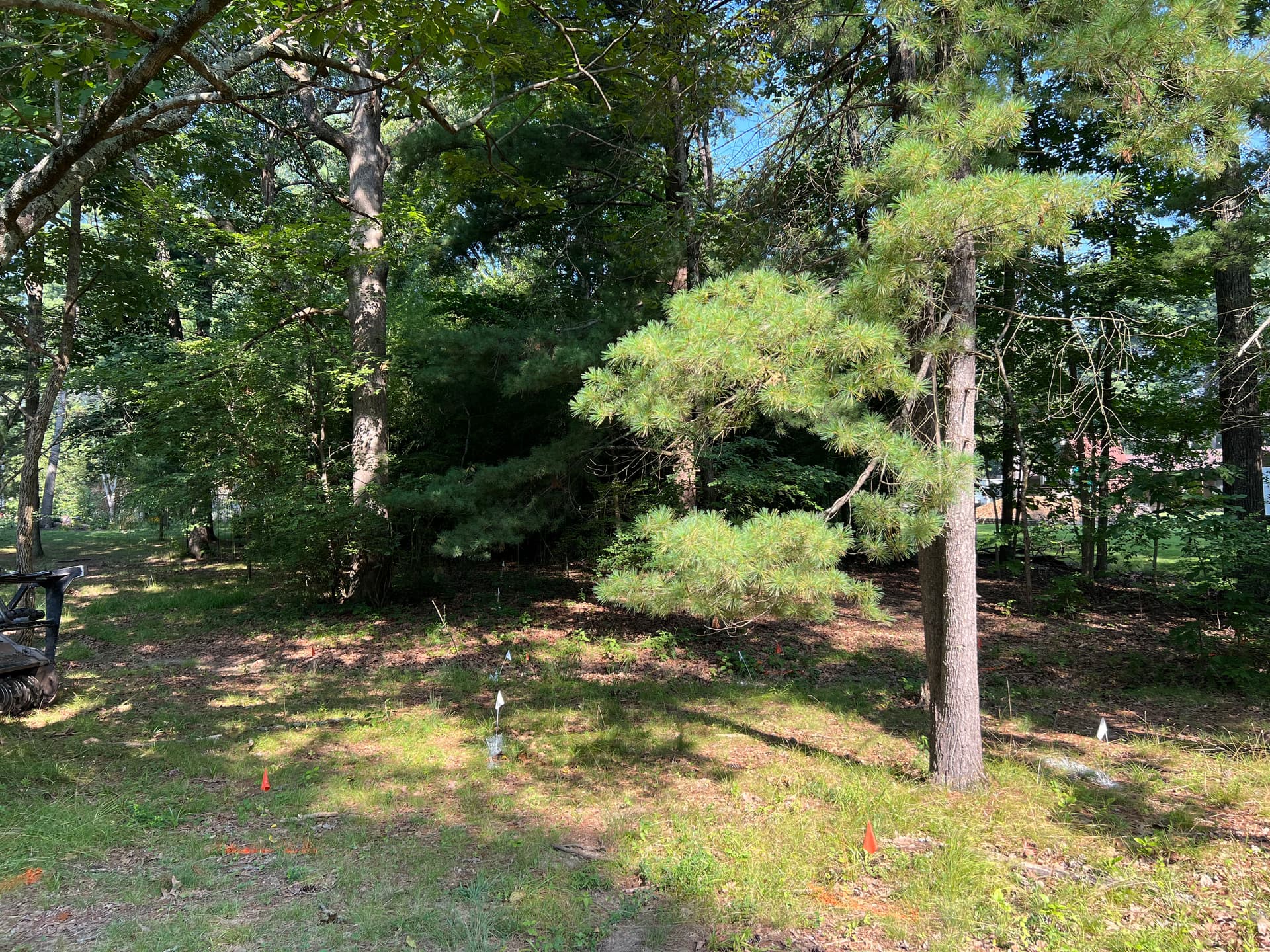 Gallery photos for Land Clearing and Driveway Build for a Pole Barn Site in Wayne County, IL: Image #2