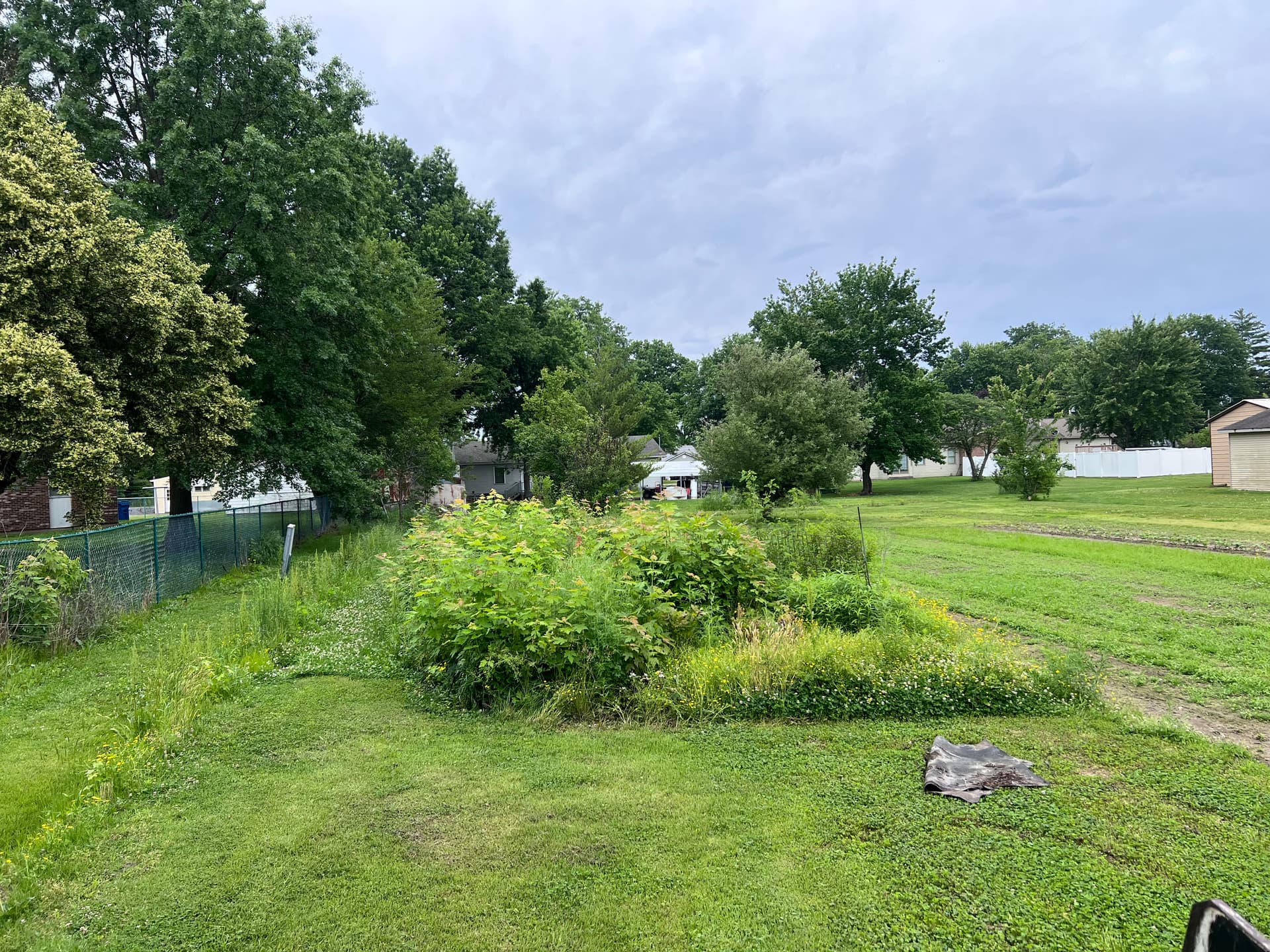 Gallery photos for Overgrown Garden Area Cleared and Graded in Clay County IL: Image #2