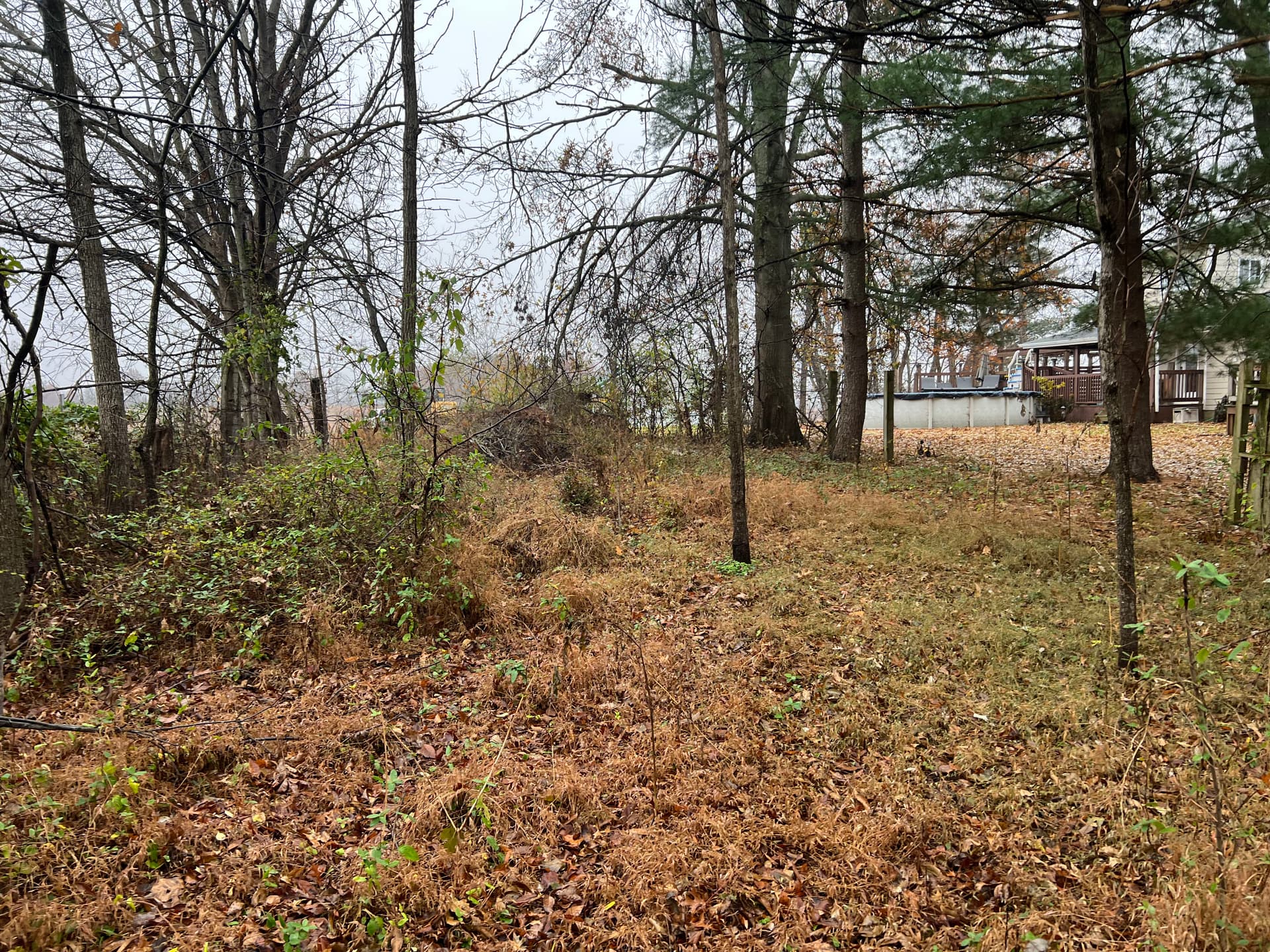 Gallery photos for Fence Row Clearing and Pond Brush Removal in Norris City: Image #2