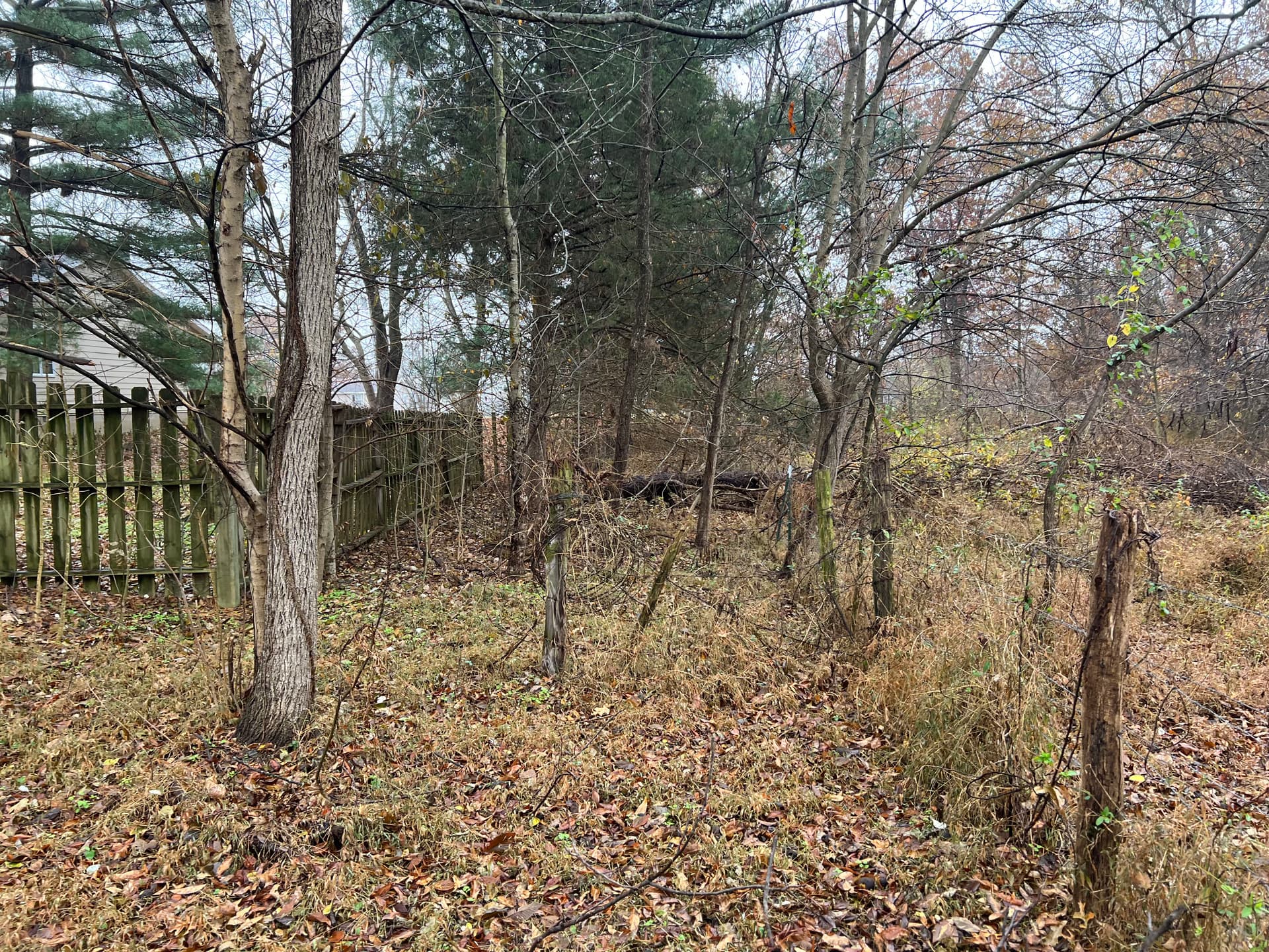 Gallery photos for Fence Row Clearing and Pond Brush Removal in Norris City: Image #4