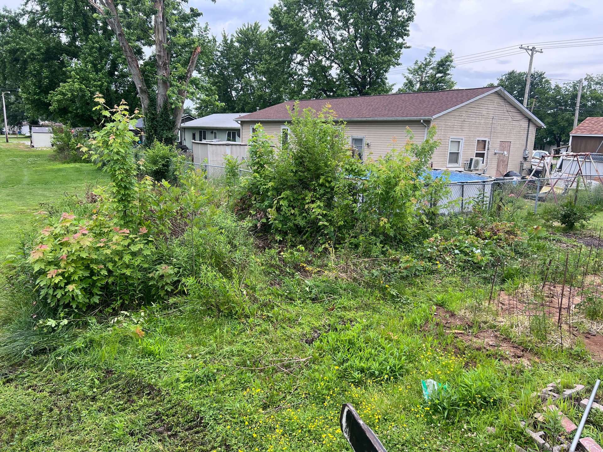 Overgrown Garden Area Cleared and Graded in Clay County IL image